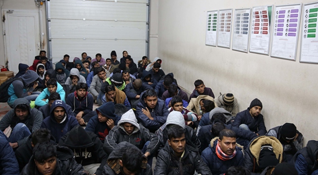 Edirne'de 442 düzensiz göçmen yakalandı