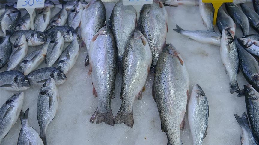 Tezgahlar kültür balıklarına kaldı