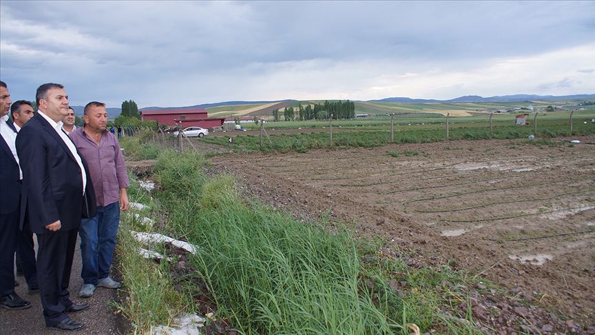 Başkentte yağan dolu ekili arazilere zarar verdi
