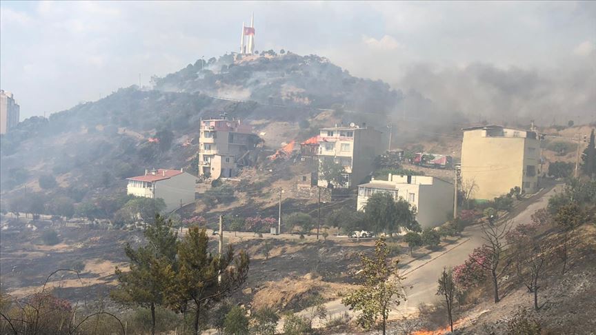 İzmir'de zeytinlik alanda yangın söndürüldü