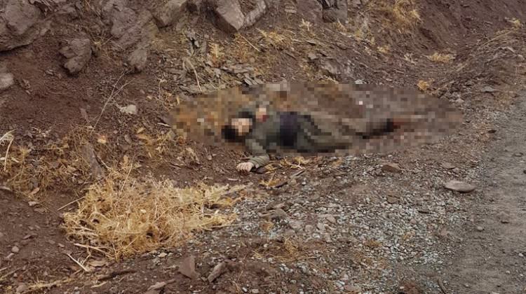 İçişleri Şemdinli'de öldürülen PKK'lı sayısını açıkladı