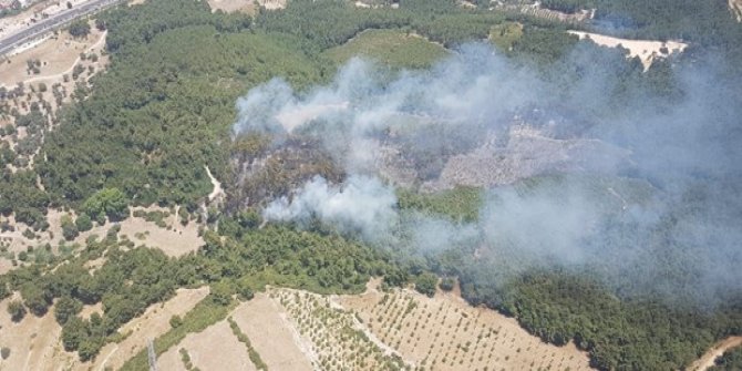 İzmir’in Buca ilçesinde ormanlık alanda yangın!