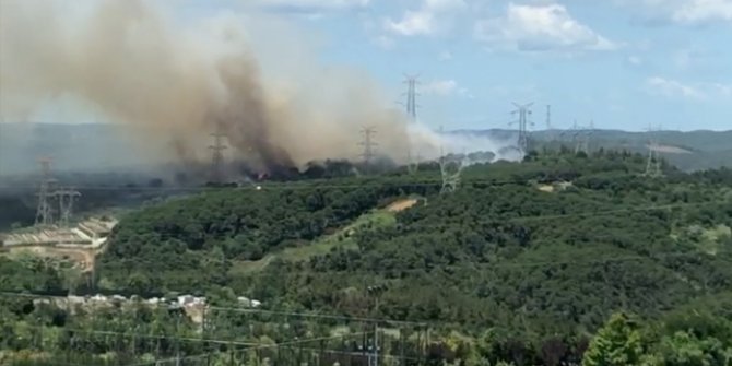 İstanbul Hasdal'da orman yangını
