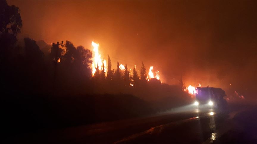 İzmir'de otluk alanda çıkan yangında 2 otel tahliye edildi