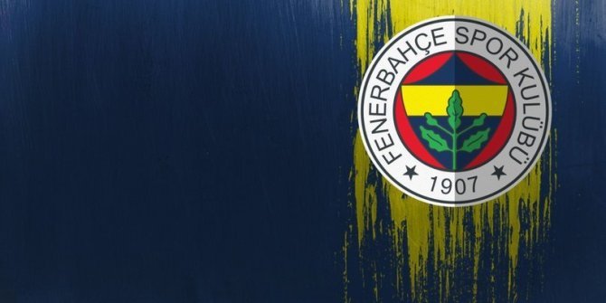Emre Belözoğlu Fenerbahçe'de