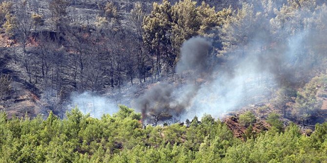 Fethiye'de çıkan orman yangını söndürüldü
