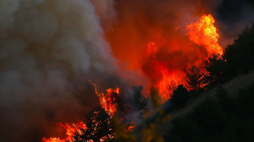 Meteorolojiden orman yangını uyarısı