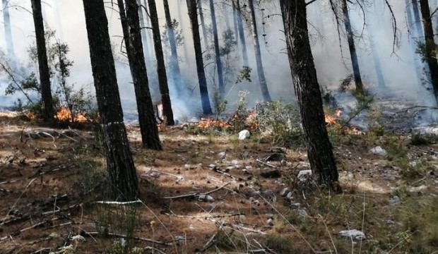 Antalya'da orman yangını! 7 helikopter, 15 arazöz müdahale ediyor