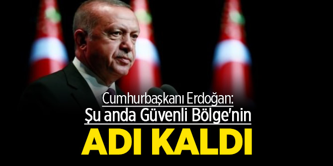 Cumhurbaşkanı Erdoğan: Şu anda Güvenli Bölge'nin adı kaldı