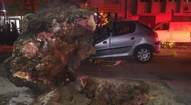 İzmir’de 3 otomobilin üzerine ağaç devrildi