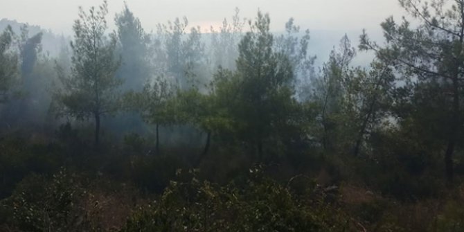 Hatay'da orman yangınları: İki hektar alan zarar gördü