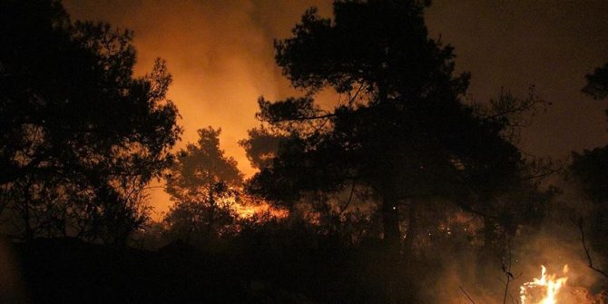 Mersin'in Erdemli ilçesinde orman yangını