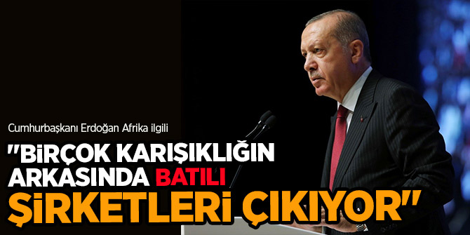 Erdoğan, "Birçok karışıklığın arkasında Batılı silah ve petrol şirketleri çıkıyor"