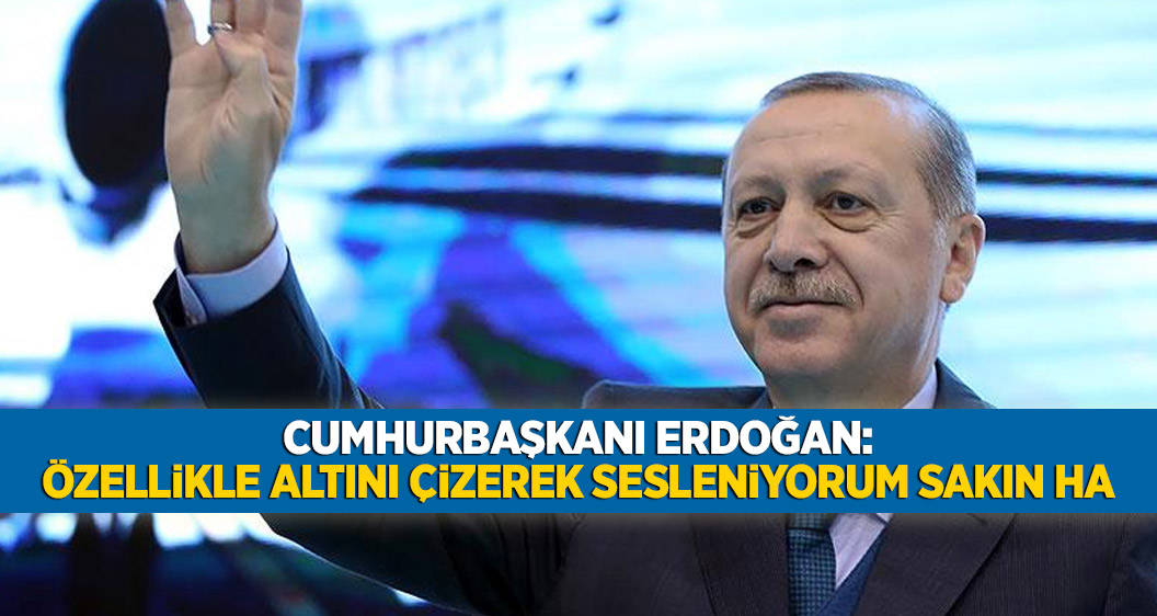 Cumhurbaşkanı Erdoğan: Özellikle altını çizerek sesleniyorum sakın ha