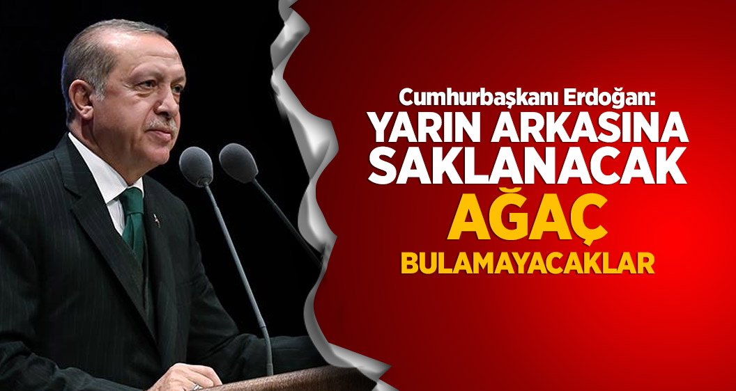 Erdoğan: Yarın arkasına saklanacak ağaç bulamayacaklar