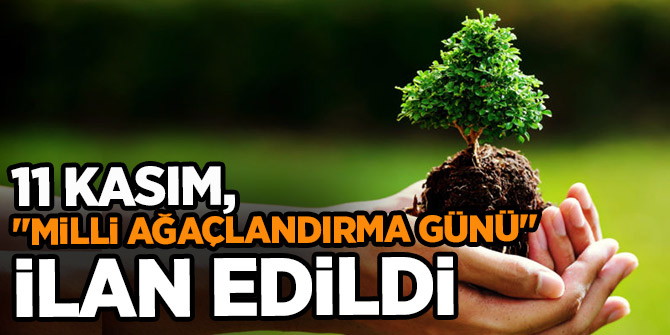 Erdoğan 11 Kasım'ı 'Milli Ağaçlandırma Günü' ilan etti