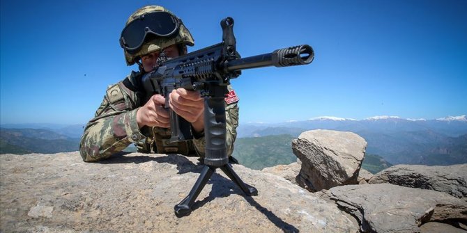 Şırnak'ta PKK'lı bir terörist etkisiz hale getirildi
