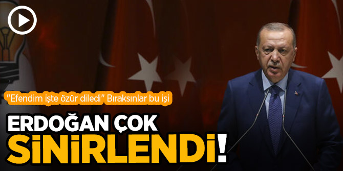 Erdoğan: Bu edepsizlere gereken cevap verilmeli