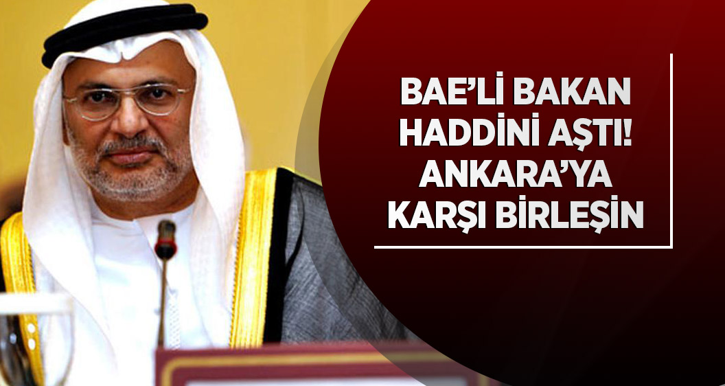 BAE'li bakandan Arap dünyasına 'Türkiye'ye karşı birleşin' çağrısı!