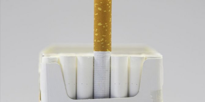 Türk bilim insanları nikotinin bağışıklık sistemini 'saldırganlaştırdığını' kanıtladı