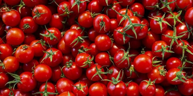 Kasımda en fazla domatesin fiyatı arttı