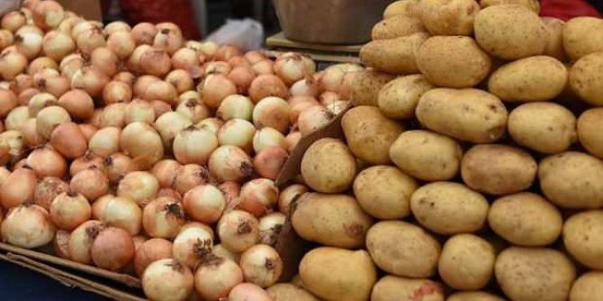 Hasadı başlayan patates ve soğanın ihracatı kontrollü açılıyor