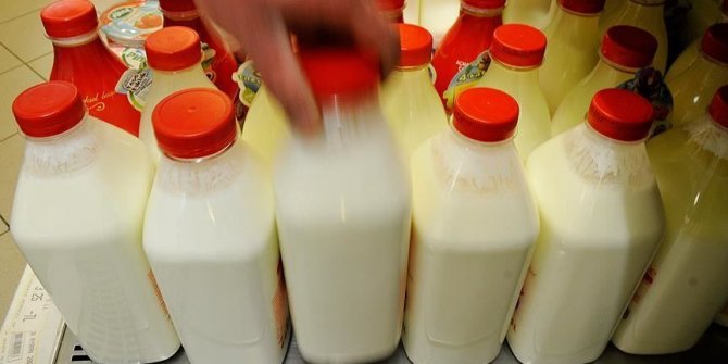 KKTC'de süt tüketimindeki daralma Türkiye'nin desteğiyle aşıldı