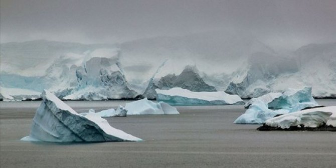 Antarktika'da 90 milyon yıl önce yağmur ormanı olduğuna dair kanıt bulundu