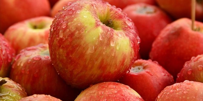 Türk ihracatçısı 210 milyon dolarlık 'Tayland elma pazarı'na giriyor