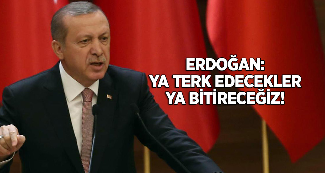 Erdoğan: Ya bu ülkeyi terk edip gidecekler ya da bu işi bitireceğiz