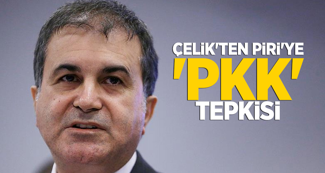 Çelik'ten Piri'ye 'PKK' tepkisi