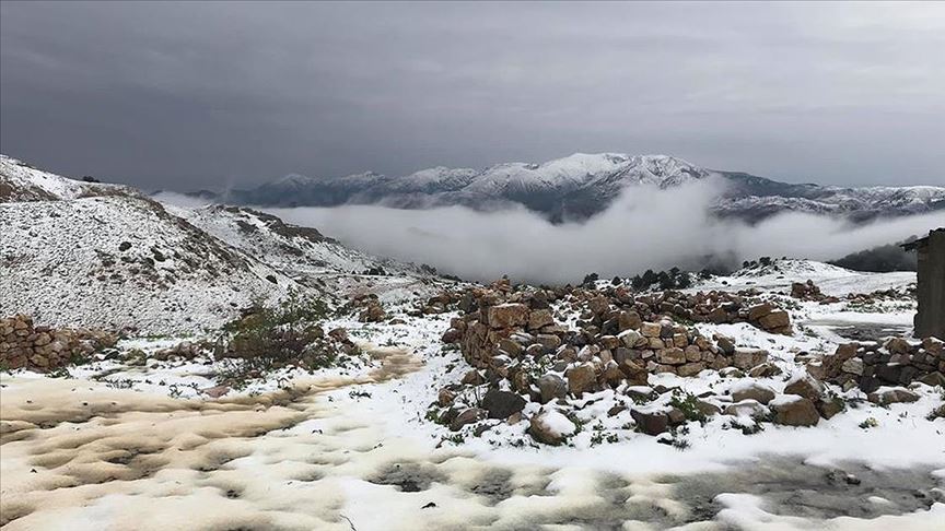Erzurum'da kar Kars'ta dolu etkili oldu