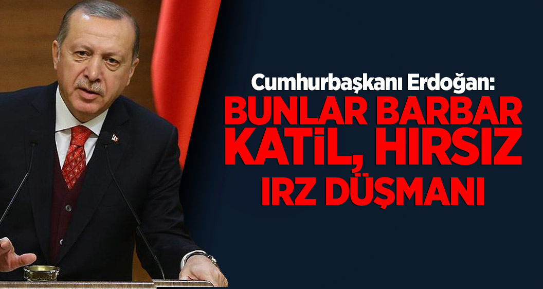 Cumhurbaşkanı Erdoğan: Bunlar barbar, katil, hırsız, ırz düşmanı