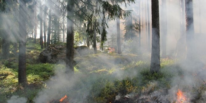 TikTok için hokkabazlık yaparken orman yangını çıkardı