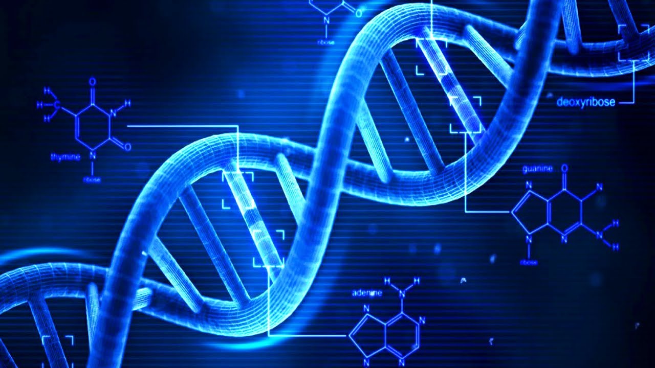 200 yıl önce ölen bir adamın DNA'sı yeniden oluşturuldu!