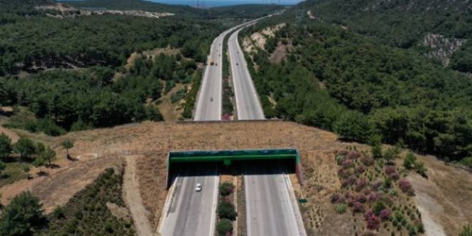 İzmir-Çeşme Otoyolu üzerindeki ekolojik köprünün yapımı tamamlandı