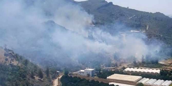 Antalya Manavgat'ta orman yangını