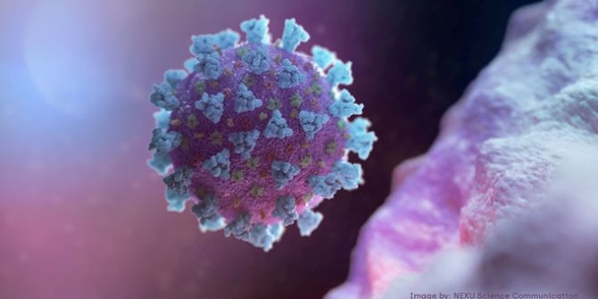 Bilim insanları corona virüs ve beyin hasarı uyarısında bulundu