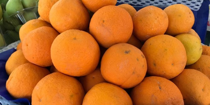 3 kentten 256 milyon dolarlık turunçgil ihracatı
