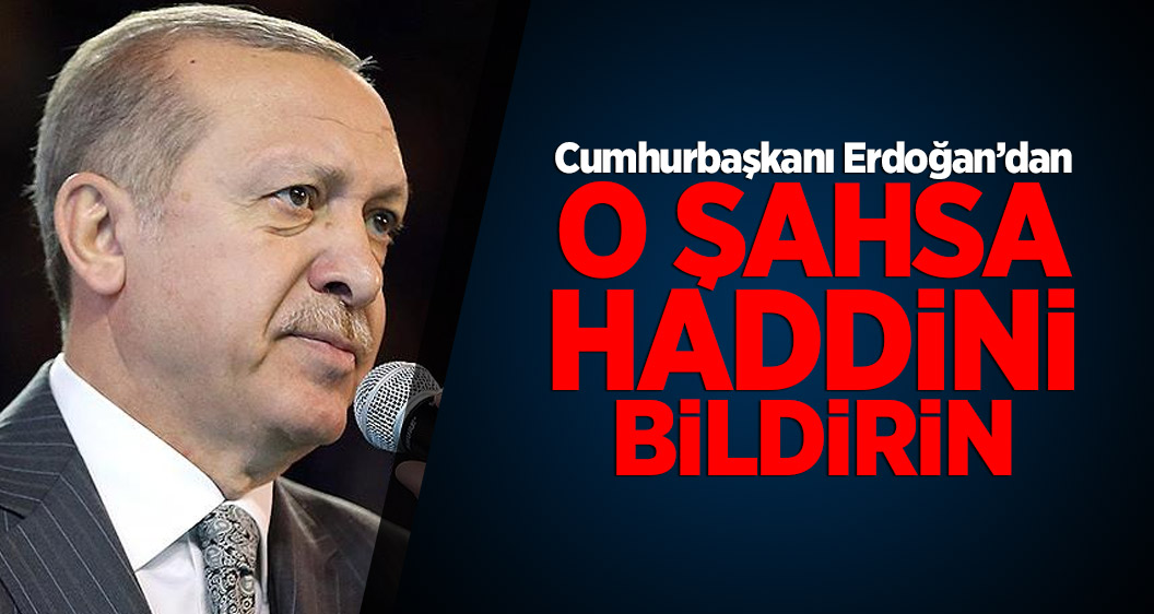 Cumhurbaşkanı Erdoğan: O şahsa haddini bildirin