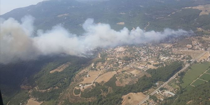İzmir'in Menderes ilçesinde orman yangını çıktı