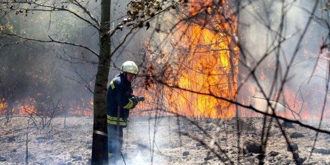 Düzce'de orman yangını çıktı