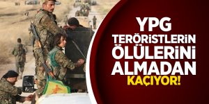 YPG teröristlerin ölülerini almadan kaçıyor!