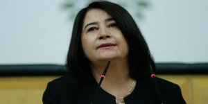 Eski HDP Eş Genel Başkanı Serpil Kemalbay gözaltına alındı