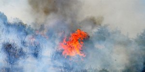 Çanakkale'deki orman yangını kontrol altında