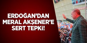 Erdoğan'dan Meral Akşener'e sert tepki: O 6'lı masadaki 3 isimden neden ses çıkmıyor?