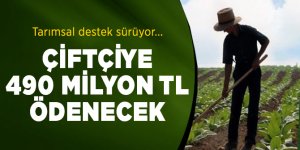 Tarım ve Orman Bakanı duyurdu: Çiftçiye 490 milyon TL ödenecek