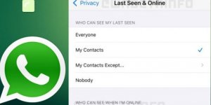 WhatsApp'a 'çevrimdışı ol' özelliği geliyor
