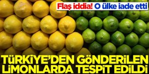 Flaş iddia: Türkiye'den gönderilen limonlarda tespit edildi! O ülke iade etti