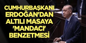 Cumhurbaşkanı Erdoğan'dan altılı masaya 'mandacı' benzetmesi